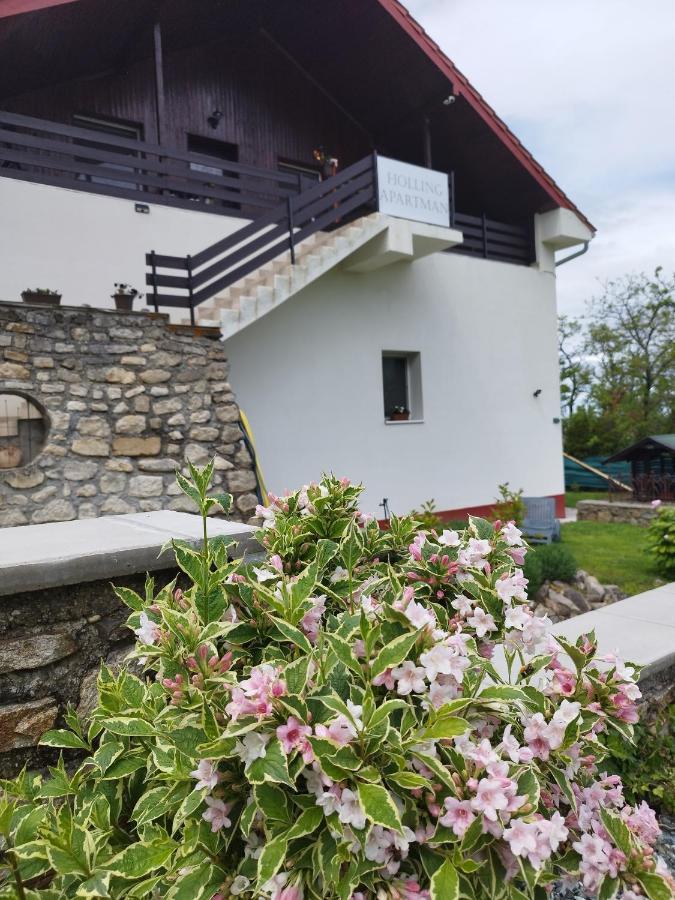 Holling Apartman Fertoboz Luaran gambar